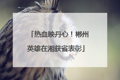 热血映丹心！郴州英雄在湘获省表彰