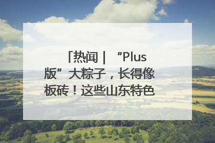 热闻｜“Plus版”大粽子，长得像板砖！这些山东特色粽子你吃过吗？