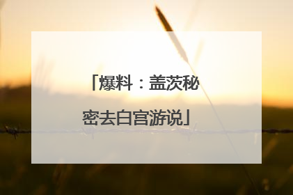 爆料：盖茨秘密去白宫游说