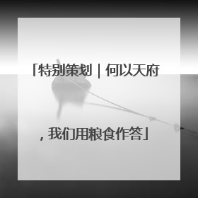 特别策划｜何以天府，我们用粮食作答