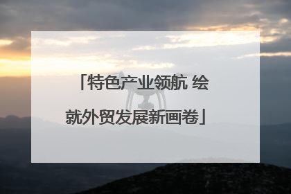 特色产业领航 绘就外贸发展新画卷