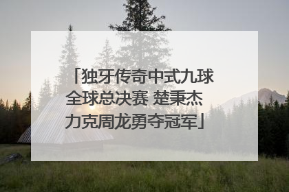 独牙传奇中式九球全球总决赛 楚秉杰力克周龙勇夺冠军