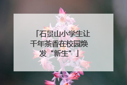 石景山小学生让千年茶香在校园焕发“新生”