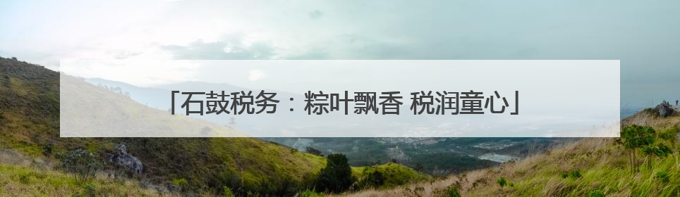 石鼓税务：粽叶飘香 税润童心