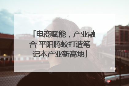 电商赋能，产业融合 平阳腾蛟打造笔记本产业新高地