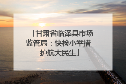 甘肃省临泽县市场监管局：快检小举措 护航大民生