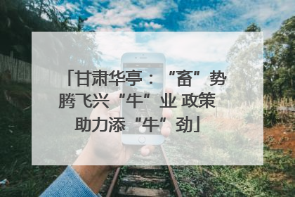 甘肃华亭：“畜”势腾飞兴“牛”业 政策助力添“牛”劲