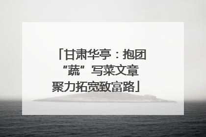 甘肃华亭：抱团“蔬”写菜文章 聚力拓宽致富路