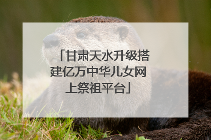 甘肃天水升级搭建亿万中华儿女网上祭祖平台