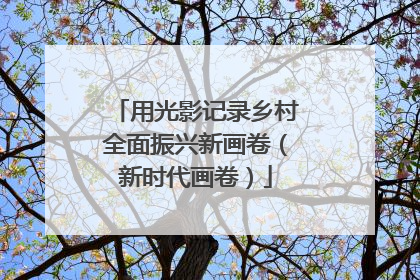 用光影记录乡村全面振兴新画卷（新时代画卷）