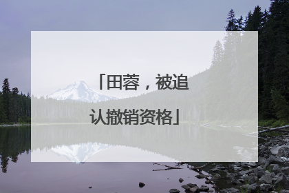 田蓉，被追认撤销资格