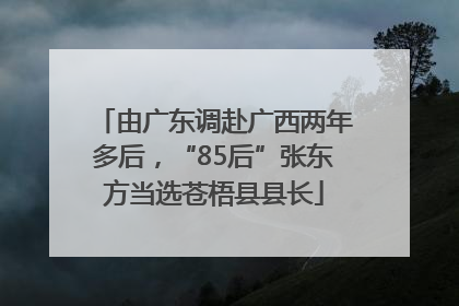 由广东调赴广西两年多后，“85后”张东方当选苍梧县县长