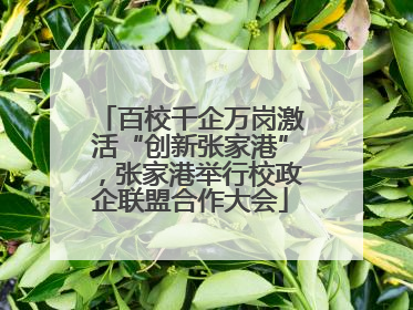 百校千企万岗激活“创新张家港”，张家港举行校政企联盟合作大会