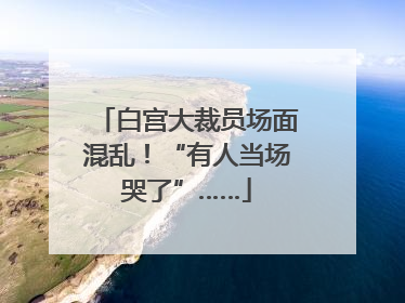 白宫大裁员场面混乱！“有人当场哭了”……