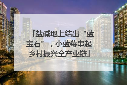 盐碱地上结出“蓝宝石”，小蓝莓串起乡村振兴全产业链