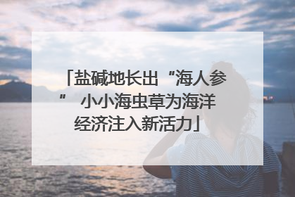 盐碱地长出“海人参” 小小海虫草为海洋经济注入新活力