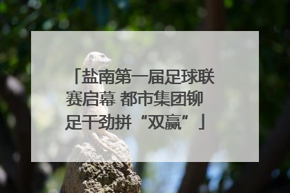 盐南第一届足球联赛启幕 都市集团铆足干劲拼“双赢”