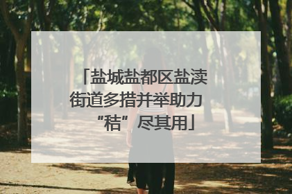 盐城盐都区盐渎街道多措并举助力“秸”尽其用