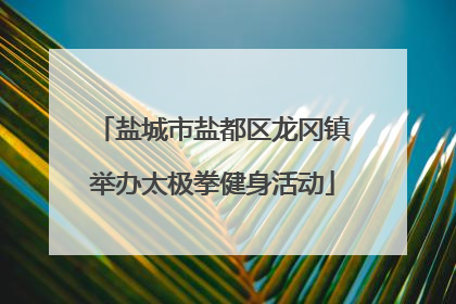 盐城市盐都区龙冈镇举办太极拳健身活动
