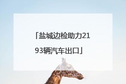 盐城边检助力2193辆汽车出口