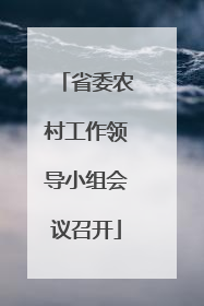 省委农村工作领导小组会议召开
