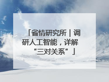 省情研究所｜调研人工智能，详解“三对关系”