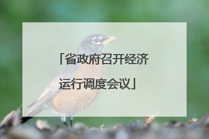 省政府召开经济运行调度会议