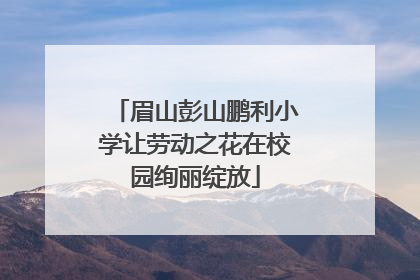 眉山彭山鹏利小学让劳动之花在校园绚丽绽放