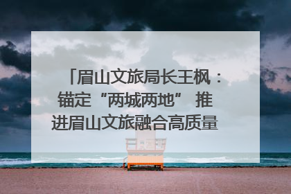 眉山文旅局长王枫：锚定“两城两地” 推进眉山文旅融合高质量发展｜文旅局长说