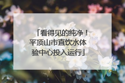 看得见的纯净！平顶山市直饮水体验中心投入运行