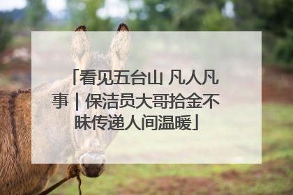 看见五台山 凡人凡事｜保洁员大哥拾金不昧传递人间温暖