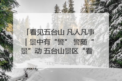 看见五台山 凡人凡事｜景中有“警” 警随“景”动 五台山景区“看得见”的平安守护