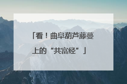 看！曲阜葫芦藤蔓上的“共富经”