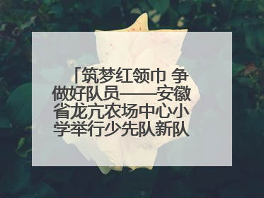 筑梦红领巾 争做好队员——安徽省龙亢农场中心小学举行少先队新队员入队仪式