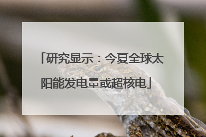 研究显示：今夏全球太阳能发电量或超核电