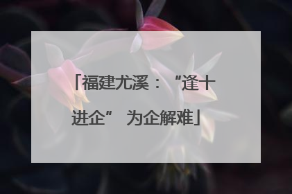 福建尤溪：“逢十进企” 为企解难