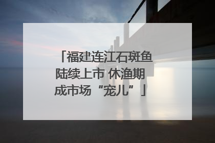 福建连江石斑鱼陆续上市 休渔期成市场“宠儿”