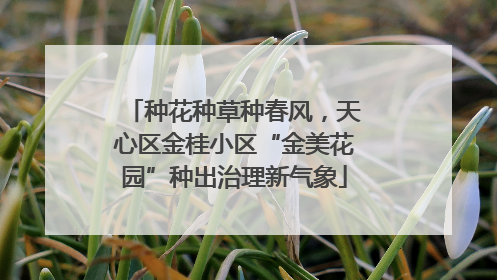 种花种草种春风，天心区金桂小区“金美花园”种出治理新气象