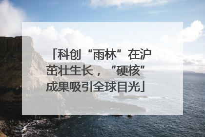 科创“雨林”在沪茁壮生长，“硬核”成果吸引全球目光