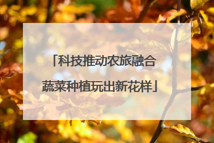 科技推动农旅融合 蔬菜种植玩出新花样