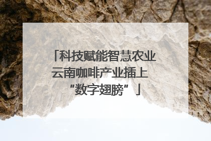 科技赋能智慧农业 云南咖啡产业插上“数字翅膀”