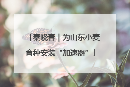 秦晓春｜为山东小麦育种安装“加速器”
