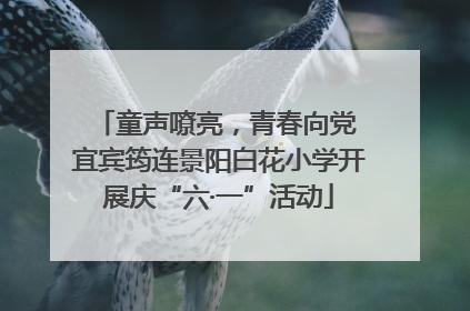 童声嘹亮，青春向党 宜宾筠连景阳白花小学开展庆“六·一”活动