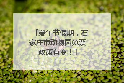 端午节假期，石家庄市动物园免票政策有变！