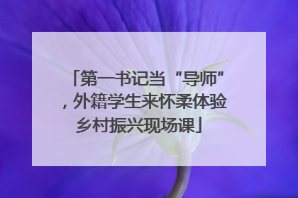 第一书记当“导师”，外籍学生来怀柔体验乡村振兴现场课