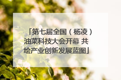 第七届全国（杨凌）油菜科技大会开幕 共绘产业创新发展蓝图