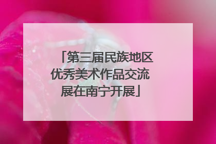 第三届民族地区优秀美术作品交流展在南宁开展