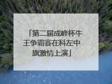 第二届成峰杯牛王争霸赛在科左中旗激情上演