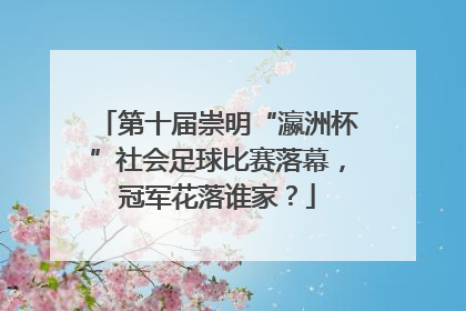 第十届崇明“瀛洲杯”社会足球比赛落幕，冠军花落谁家？