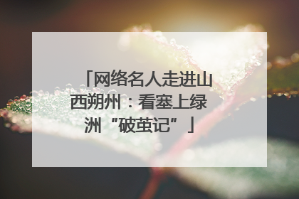 网络名人走进山西朔州：看塞上绿洲“破茧记”